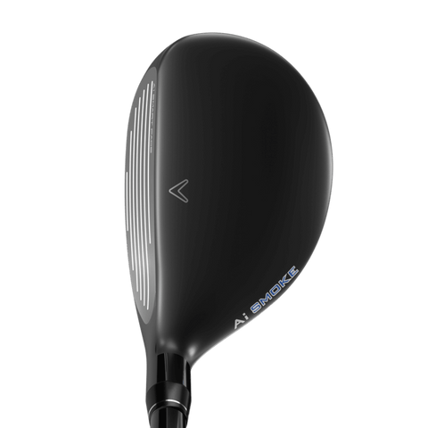 Paradym AI Smoke Max Fast Hybrid