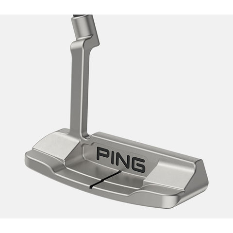 Anser D Putter