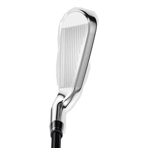 Rogue ST Max OS Lite Eisensatz Herren