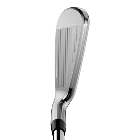 Aerojet Silver Eisensatz Herren