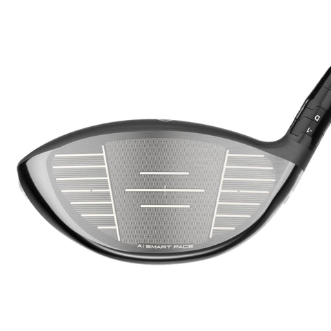 Paradym Ai Smoke MAX (2024) Driver Damen