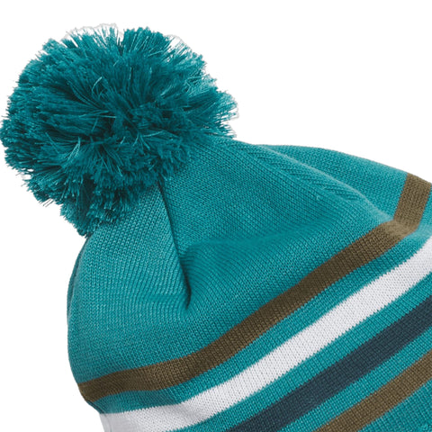 Pom Beanie