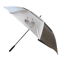UV-Protection Silber