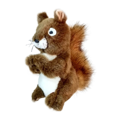 Driver Eichhörnchen