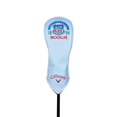 Major US Open 2022 Fairway