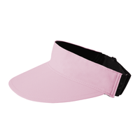 Logo Sun Visor