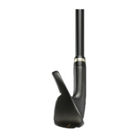 BERES Black (21) (3S) Eisensatz HR RH 5-11+SW R GR