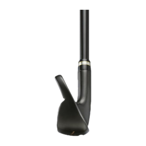 BERES Black (21) (3S) Eisensatz HR RH 5-11+SW R GR