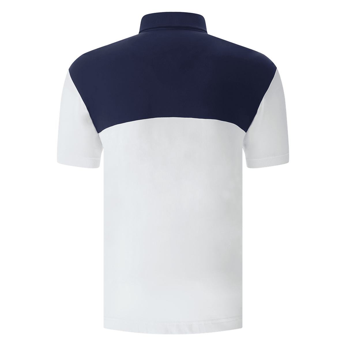 Polo Assi