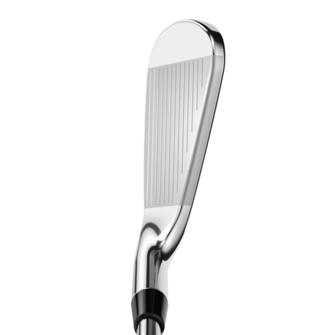 Rogue ST Pro Eisensatz