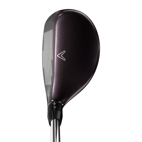 Big Bertha Reva 23 Hybrid