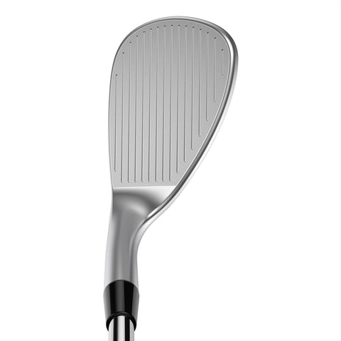 Snakebite 2023 Silver Wedge