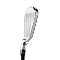 Rogue ST Max OS Lite Eisensatz