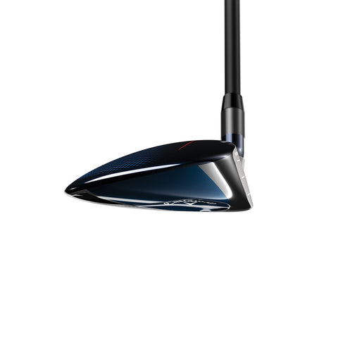 Big Bertha B21 Fairwayholz