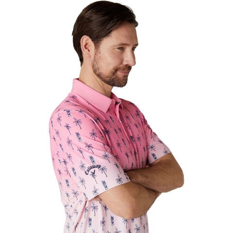 Short Sleeve Mojito Ombre Polo Herren