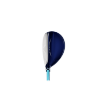 13 Hybrid