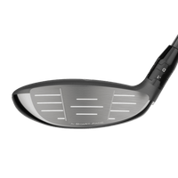 Paradym AI Smoke MAX Fairwayholz