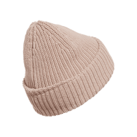 Novel Beanie
