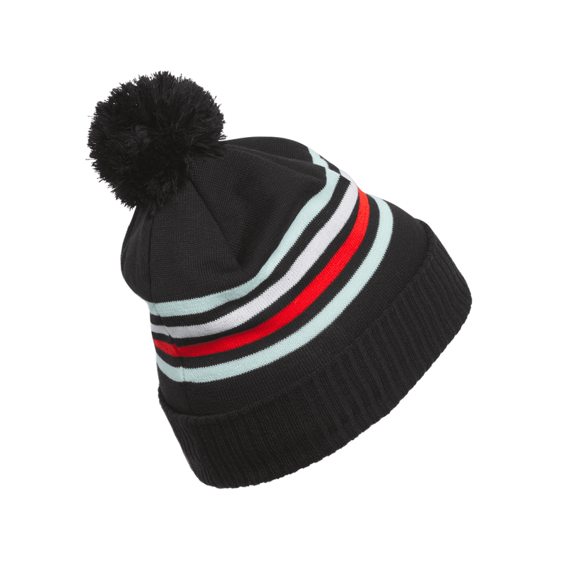 Pom Beanie