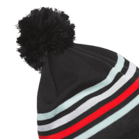 Pom Beanie