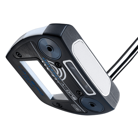 Ai-One Cruiser Jailbird DB Putter