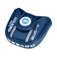 Ai-One Jailbird Mini CH Putter