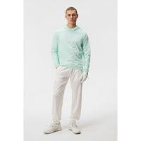 Arron Stretch Wind Hoodie Herren Honeydew