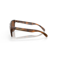 Oakley Frogskins Matte Tort PRIZM Tungstn