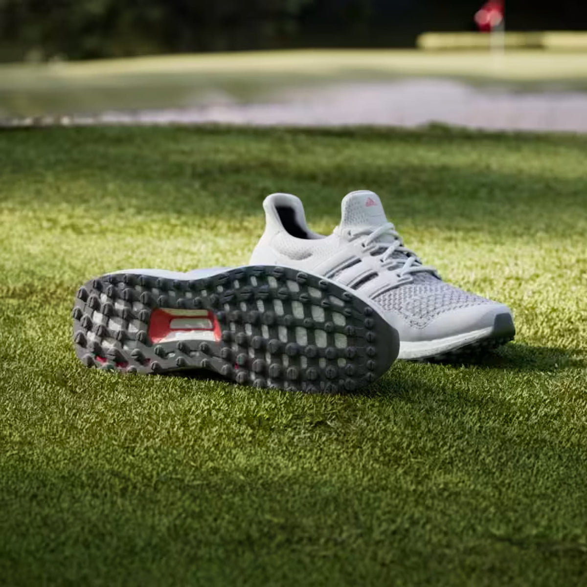 Ultraboost Golfschuh