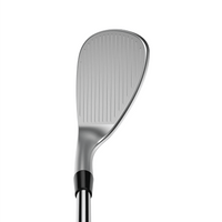 Cobra Snakebite X 2023 Silver Wedge Herren