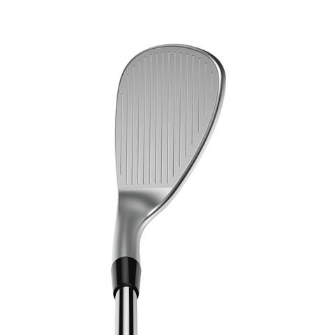 Snakebite X 2023 Silver Wedge