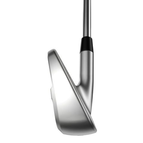 Apex Pro 24 Eisensatz