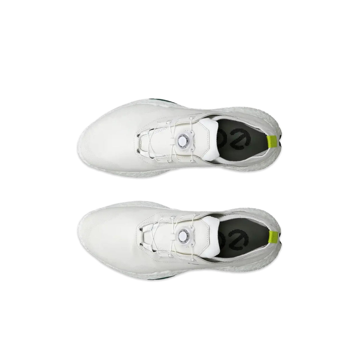 Golf Biom H5 Schuhe