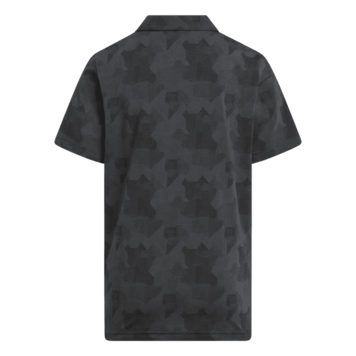 Script Polo