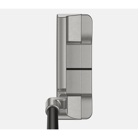 Anser D Putter