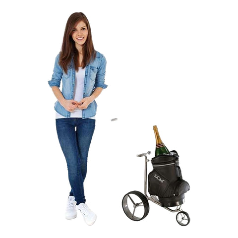 Champagner Caddy