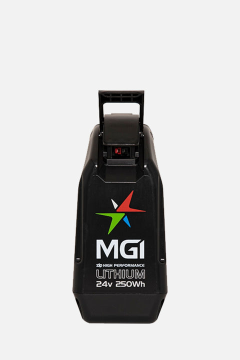 Zip 250Wh Li Batterie