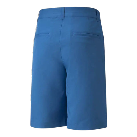 Stretch Golf Shorts