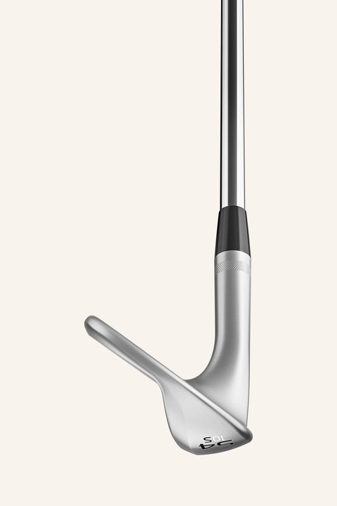 SM10 Wedge