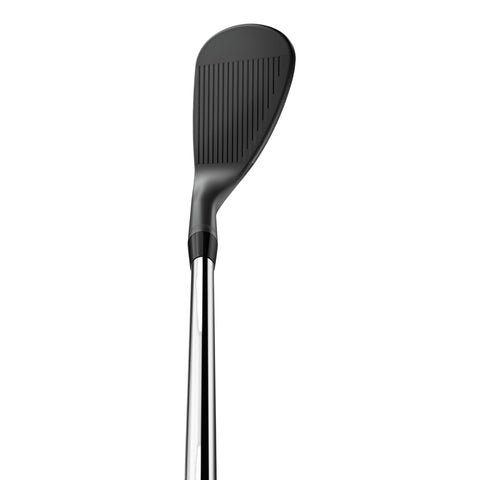 SM10 Wedge