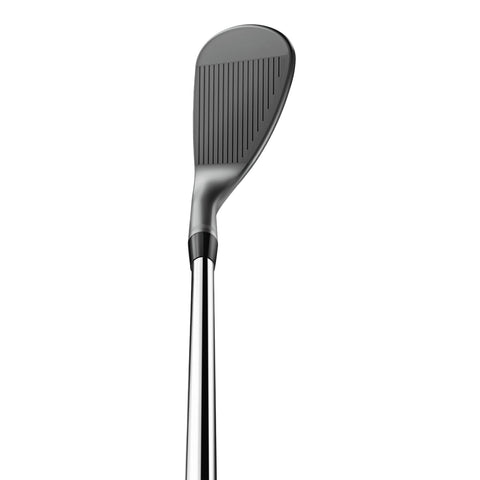 SM10 Ni Wedge